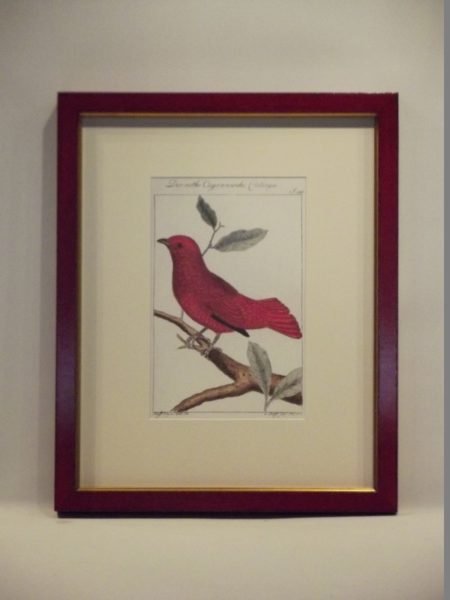 BIRD PRINT