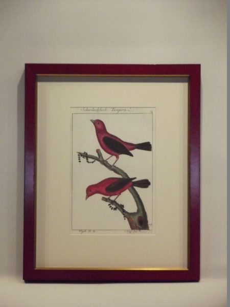 BIRD PRINT