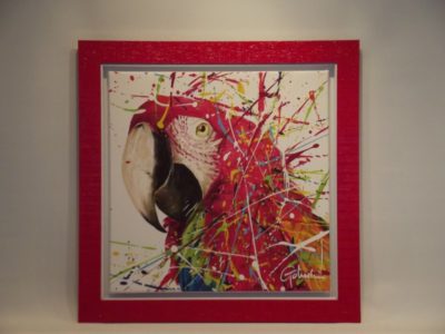RED PARROT